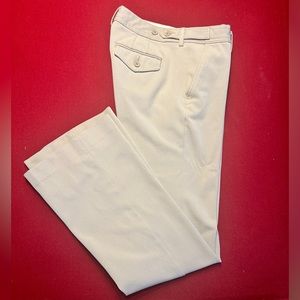 Express Columnist Dress Pants